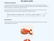 Tablet Screenshot of peche-plate.com